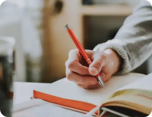 Read more about the article Your Blog Title Goes Here